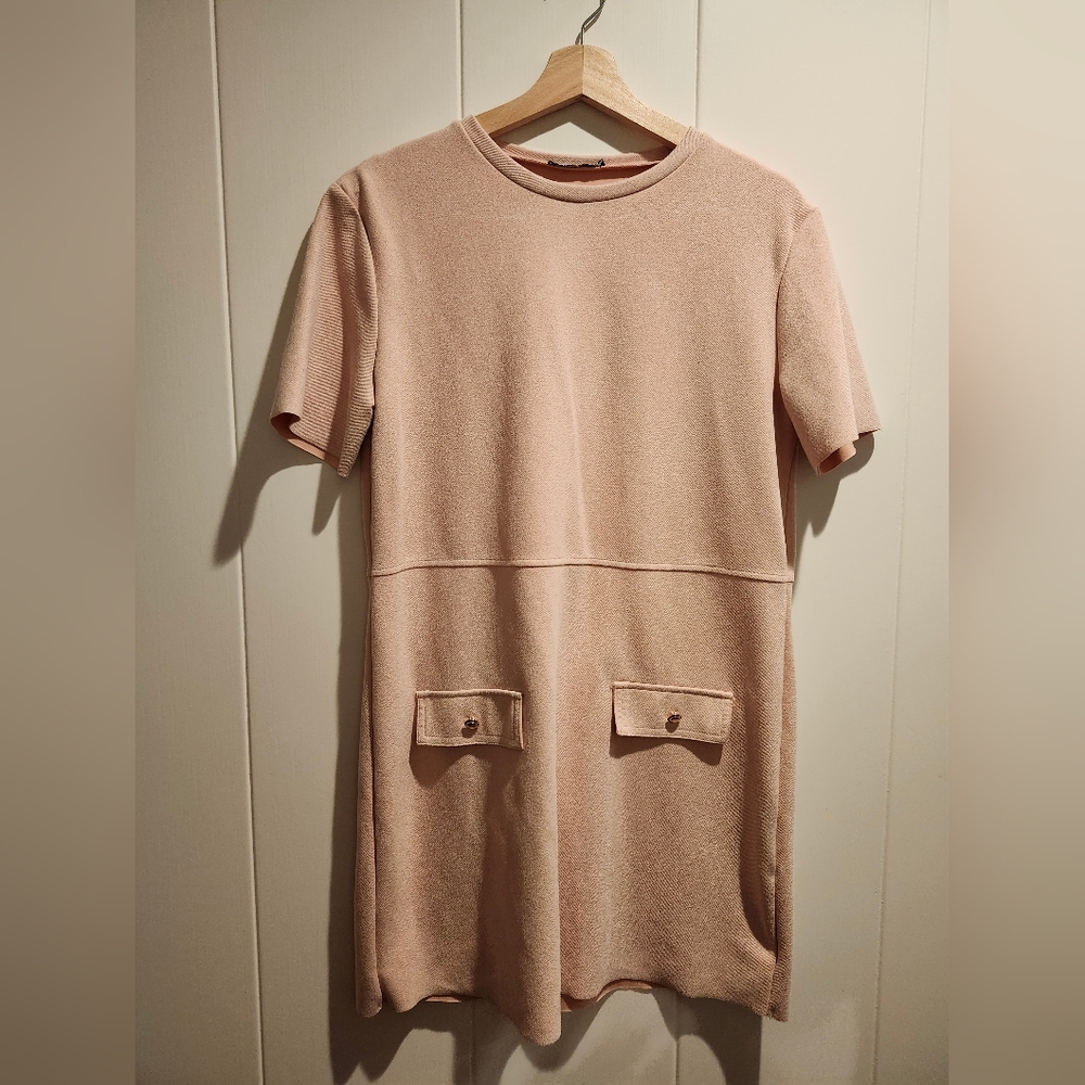 ZARA Pink Short Sleeve Dress